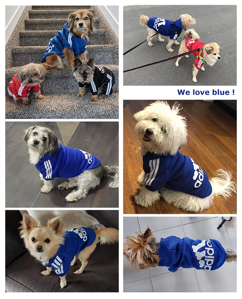 Adidog Dog Hoodie Sweatshirt with Letters Spring Dog Clothes for Small Dogs Chihuahua Puppy Coat French Bulldog Labrador Custume