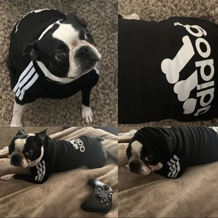 Adidog Dog Hoodie Sweatshirt with Letters Spring Dog Clothes for Small Dogs Chihuahua Puppy Coat French Bulldog Labrador Custume