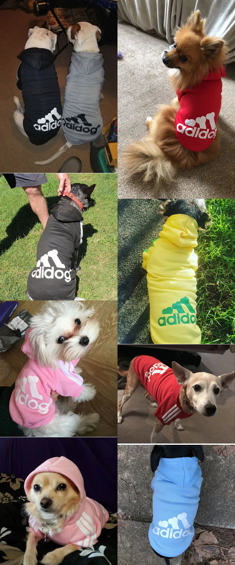 Adidog Dog Hoodie Sweatshirt with Letters Spring Dog Clothes for Small Dogs Chihuahua Puppy Coat French Bulldog Labrador Custume