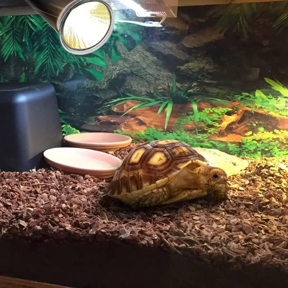 75/50/25W Tortoise Lizard Basking Lamp UVB Bulb UV E27 Bulbs Amphibians Pet Snake Reptile Heating Sunlight Calcium Supplement