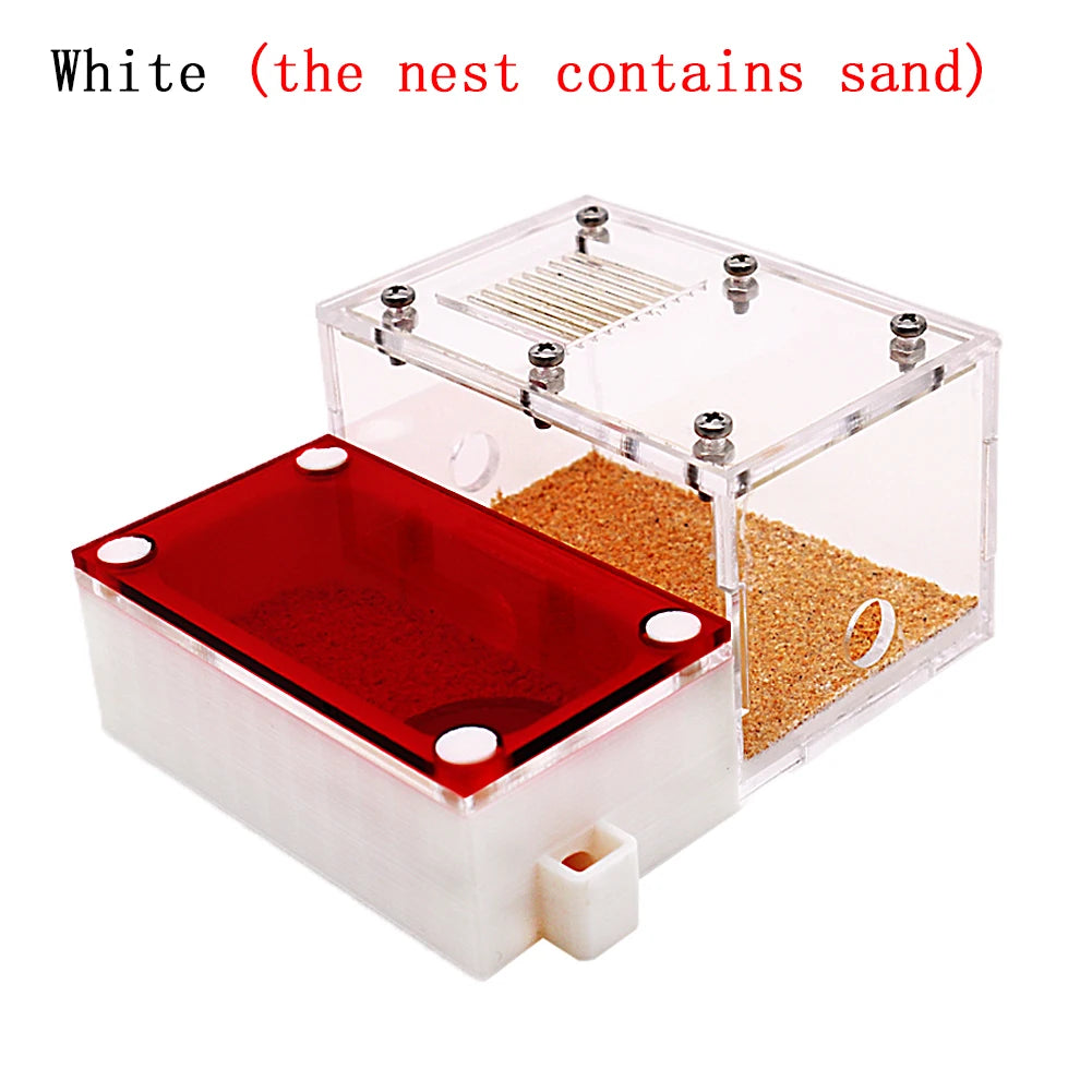 3D Acrylic Mini Ant Nest With Moisturizing Water Tower Ant Farm Pet Queen Breeding Box Anthill Insect House Workshop Accessory