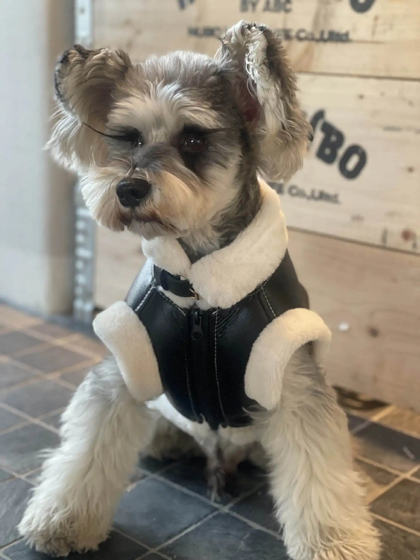 Pet Autumn Winter Velvet Sleeveless Vest Fur One-piece Coat Teddy Schnauzer Bichon Dog Thick Vest Puppy Clothes for Small Dogs