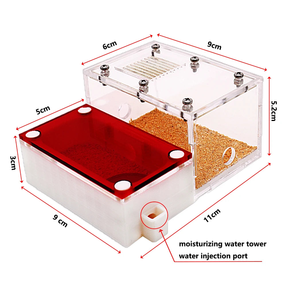 3D Acrylic Mini Ant Nest With Moisturizing Water Tower Ant Farm Pet Queen Breeding Box Anthill Insect House Workshop Accessory