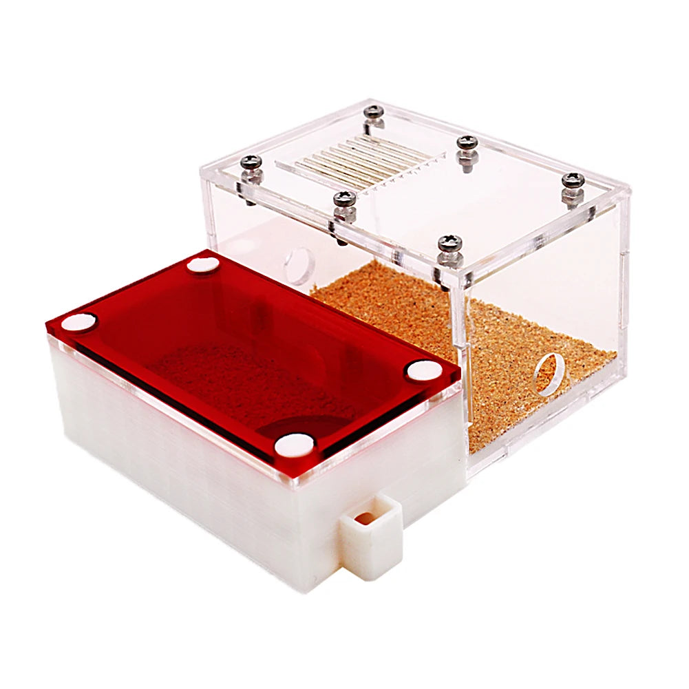 3D Acrylic Mini Ant Nest With Moisturizing Water Tower Ant Farm Pet Queen Breeding Box Anthill Insect House Workshop Accessory