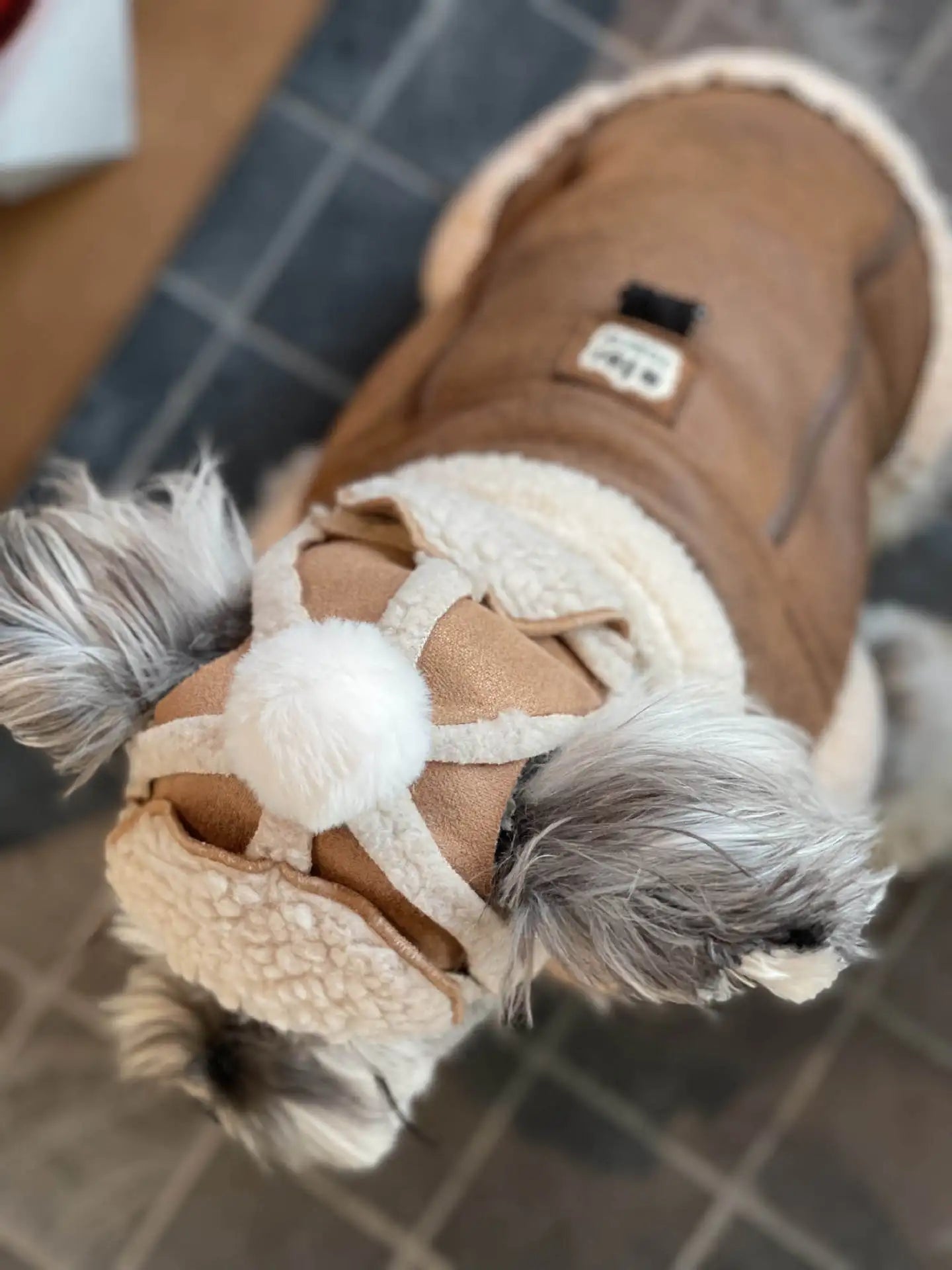 Pet Autumn Winter Velvet Sleeveless Vest Fur One-piece Coat Teddy Schnauzer Bichon Dog Thick Vest Puppy Clothes for Small Dogs