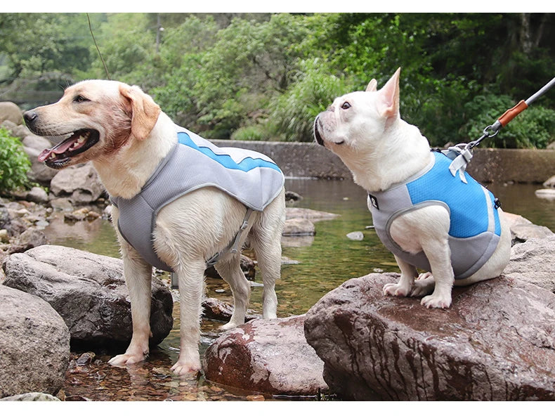 Pet Heatstroke Prevention and Cooling Vest Dogs Summer Outdoor Activities clothing for Large Dog Clothing Pets Products for Dog