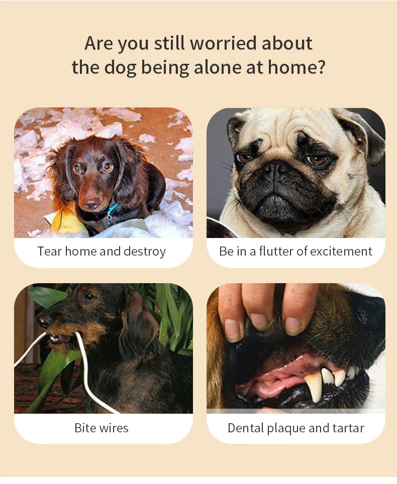 Bones Shape Dog Toys for Small Large Dogs Bite Resistant Teething Cleaning Chew Toy Cotton Pet Puppy Molar Toys Pets Products