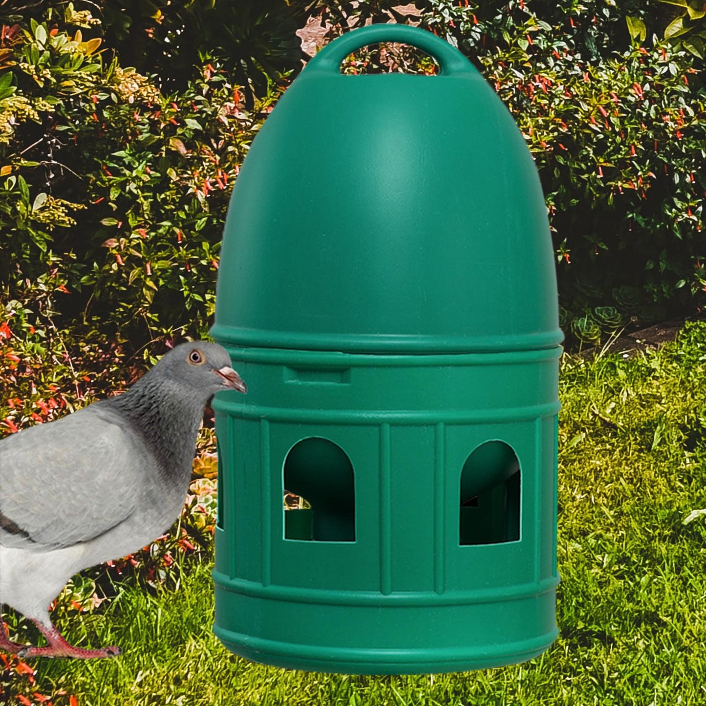 Pigeon Water Dispenser Parakeet Duck Bird Water Drinker Automatic Feeder Large Capacity Water Pot Container with Hanging Handle