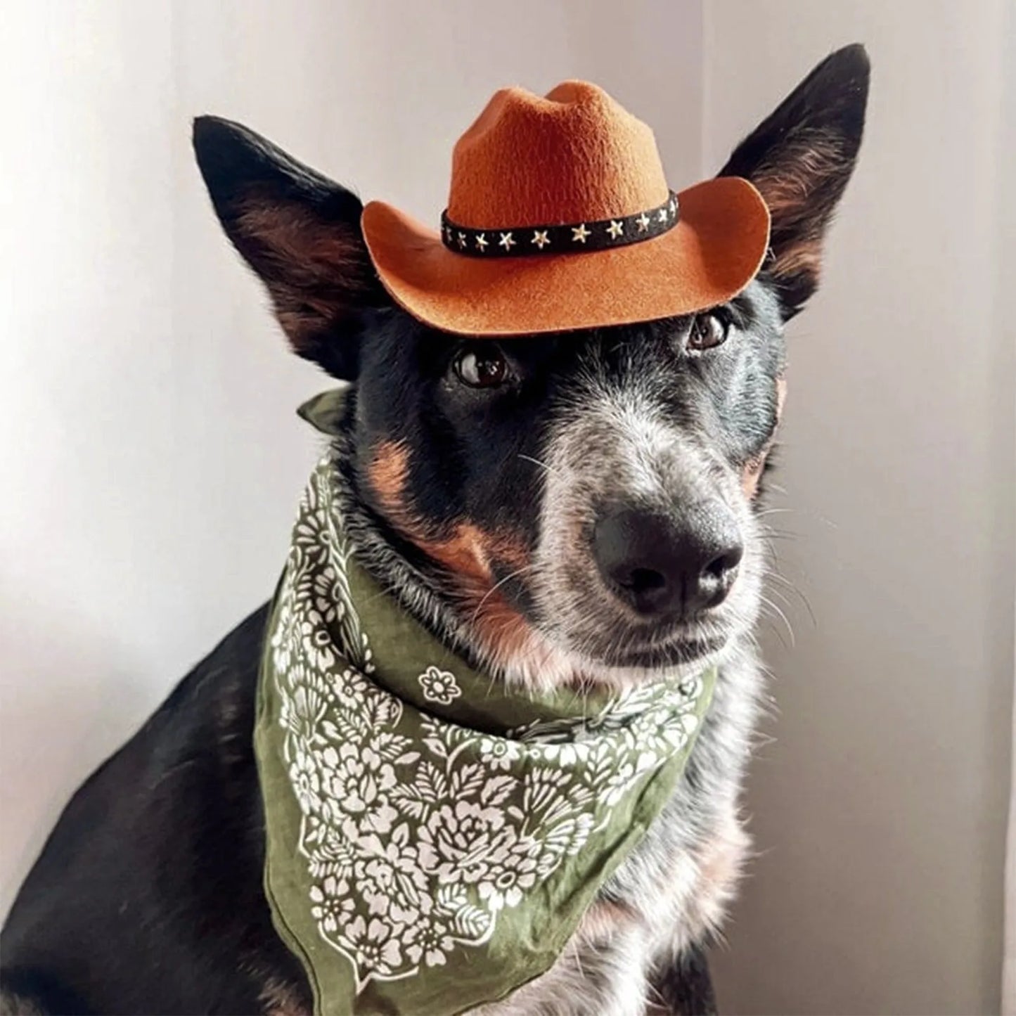 Pet Dog Cat Cowboy Hat Cowboy Clothing Puppy Adjustable Hat Suitable For Small Dogs And Cats Birthday Party Decoration Photo
