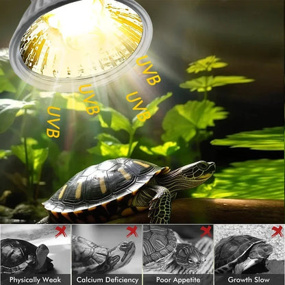 75/50/25W Tortoise Lizard Basking Lamp UVB Bulb UV E27 Bulbs Amphibians Pet Snake Reptile Heating Sunlight Calcium Supplement