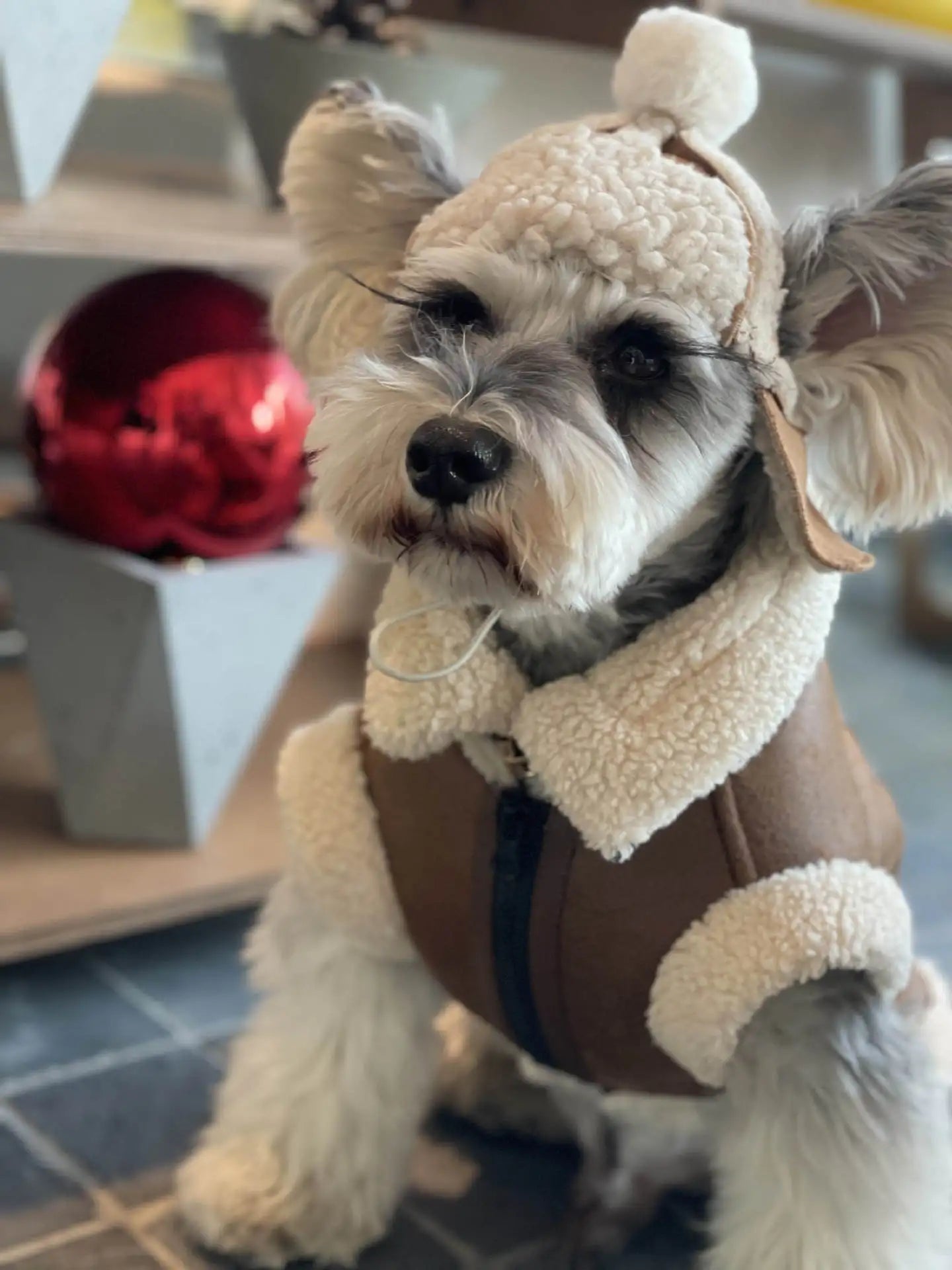 Pet Autumn Winter Velvet Sleeveless Vest Fur One-piece Coat Teddy Schnauzer Bichon Dog Thick Vest Puppy Clothes for Small Dogs