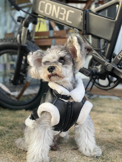 Pet Autumn Winter Velvet Sleeveless Vest Fur One-piece Coat Teddy Schnauzer Bichon Dog Thick Vest Puppy Clothes for Small Dogs