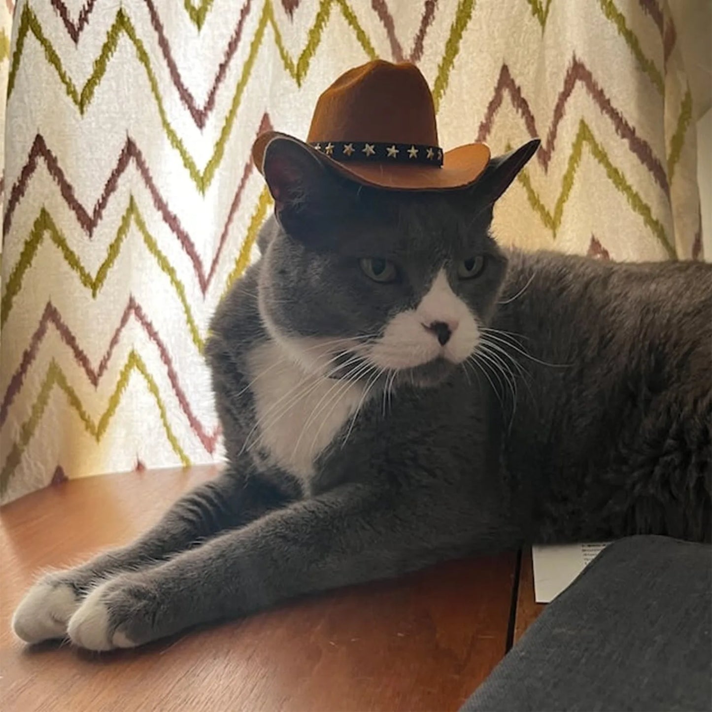 Pet Dog Cat Cowboy Hat Cowboy Clothing Puppy Adjustable Hat Suitable For Small Dogs And Cats Birthday Party Decoration Photo