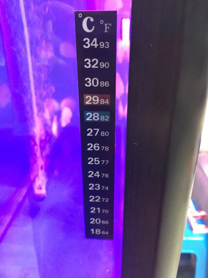 Dual Scale Aquarium Thermometer Fish Tank Liquid Fahrenheit Sticker Digital Aquarium Aquarium Thermometer Stick Control Products