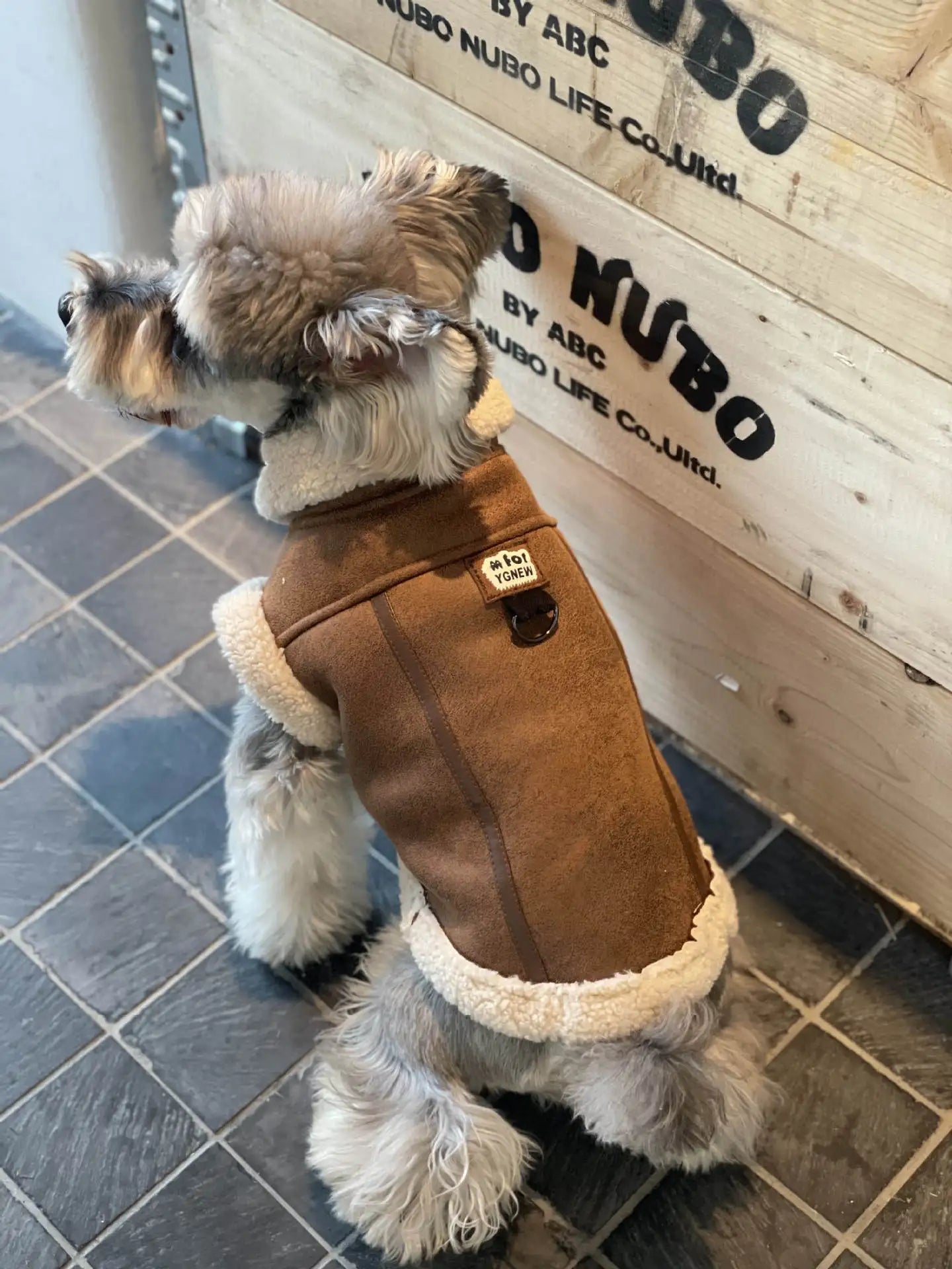 Pet Autumn Winter Velvet Sleeveless Vest Fur One-piece Coat Teddy Schnauzer Bichon Dog Thick Vest Puppy Clothes for Small Dogs