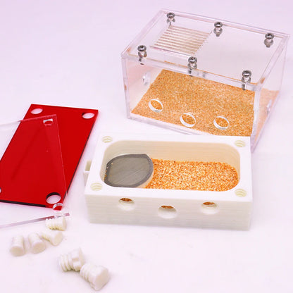 3D Acrylic Mini Ant Nest With Moisturizing Water Tower Ant Farm Pet Queen Breeding Box Anthill Insect House Workshop Accessory