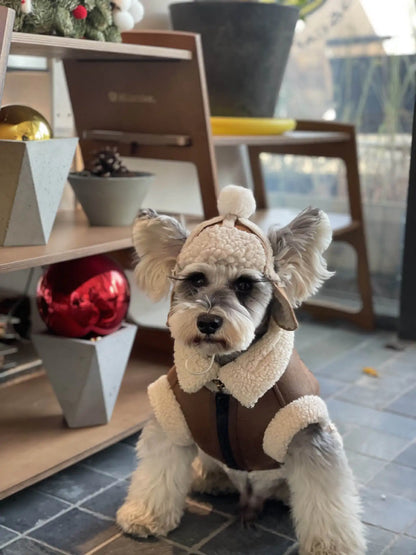 Pet Autumn Winter Velvet Sleeveless Vest Fur One-piece Coat Teddy Schnauzer Bichon Dog Thick Vest Puppy Clothes for Small Dogs