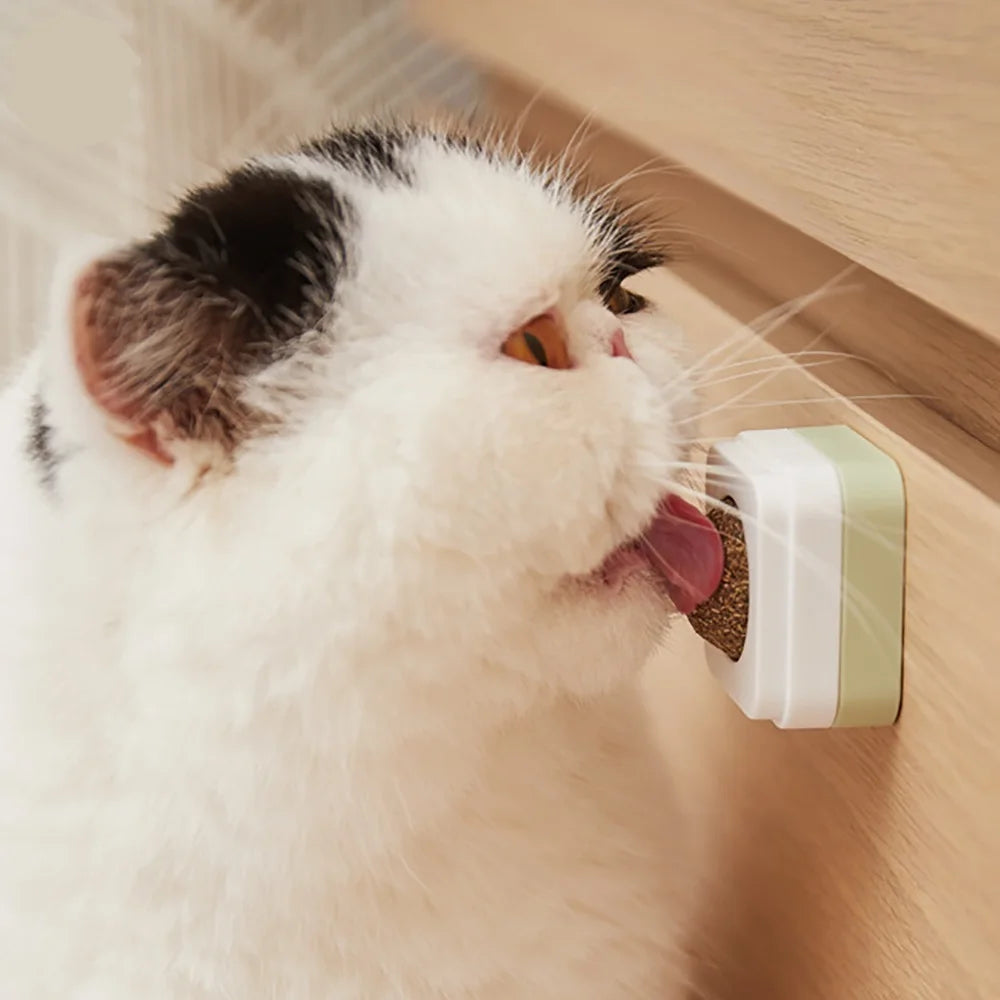 Catnip Wall Ball Funny Likable Cat Snack Natural Mint Promotes Digestion Cat Grass Pet Toy Improves Appetite Spinning Toy Ball
