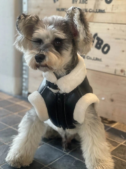 Pet Autumn Winter Velvet Sleeveless Vest Fur One-piece Coat Teddy Schnauzer Bichon Dog Thick Vest Puppy Clothes for Small Dogs