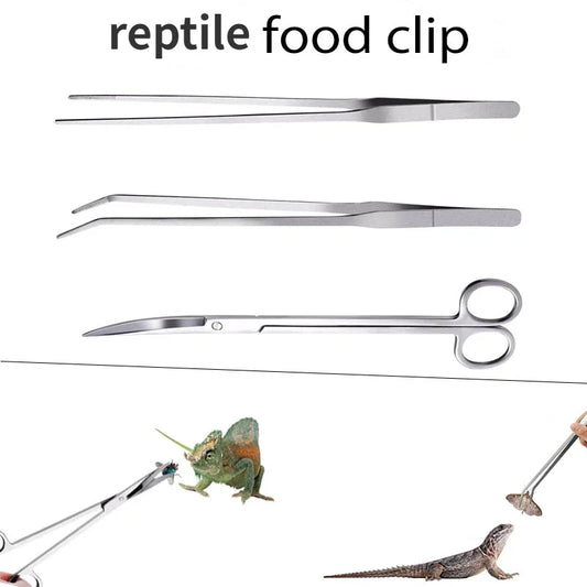 3Pcs reptile food clip