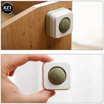 Catnip Wall Ball Funny Likable Cat Snack Natural Mint Promotes Digestion Cat Grass Pet Toy Improves Appetite Spinning Toy Ball